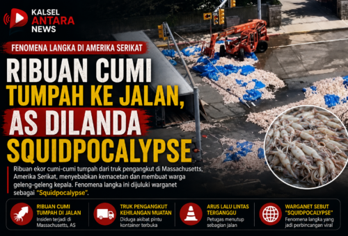 Ribuan Cumi Tumpah ke Jalan, AS Dilanda Squidpocalypse
