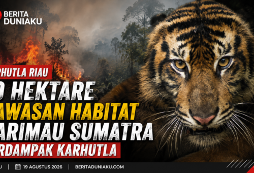 Karhutla Bakar 10 Hektare Habitat Harimau Sumatra di Suaka Margasatwa Kerumutan